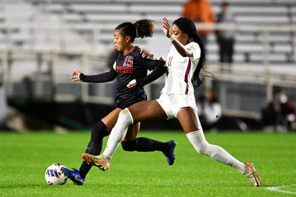 坦的争议性 坦的争议性